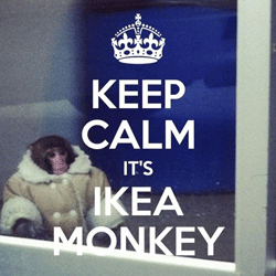 kelowna-mortgage-ikea-monkey